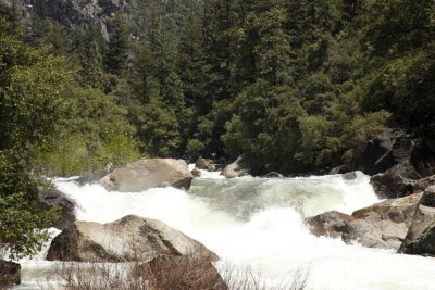 Merced River 8133.JPG