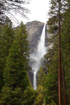 Yosemite Falls Upper  Lower 0180.jpg