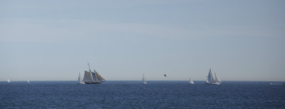g4/58/615158/3/141945896.CN01vA9X.jpg