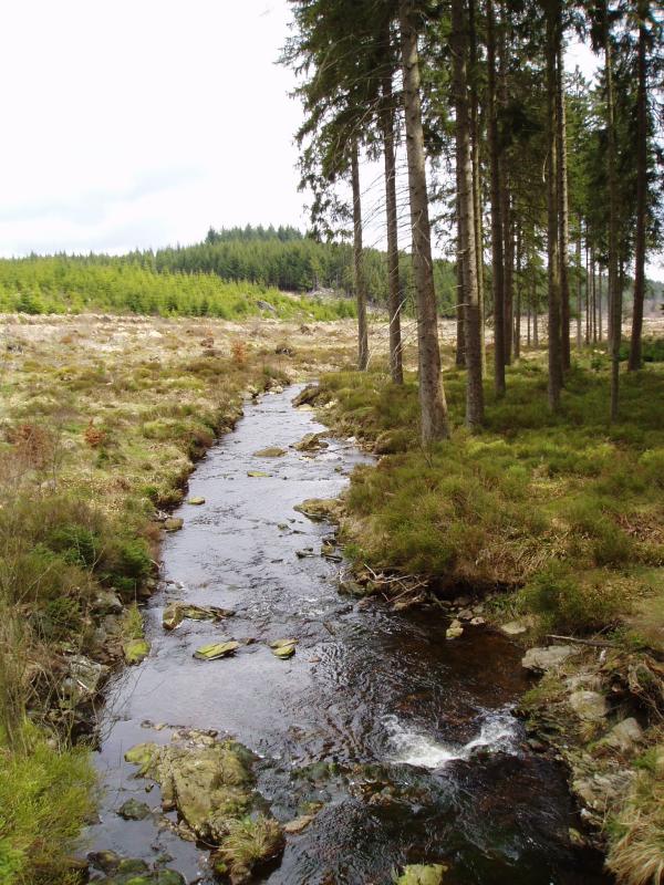 Rippling brook