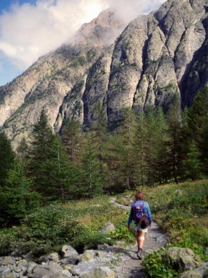 Approaching the woods