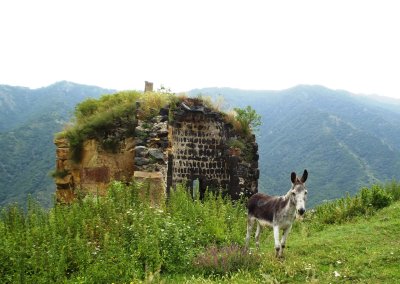 Donkey in front of ruin