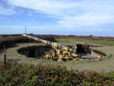 Coastal cannon