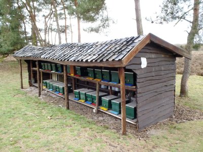 Hut with beehives