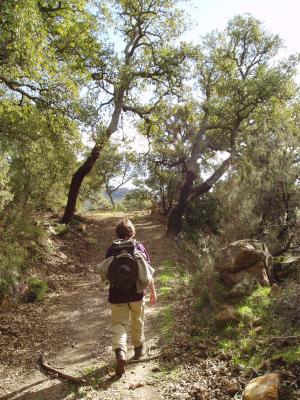 Hiking uphill