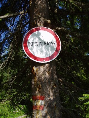 Forestry road sign