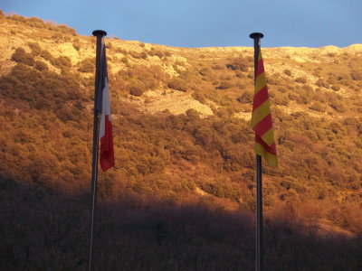 Two flags