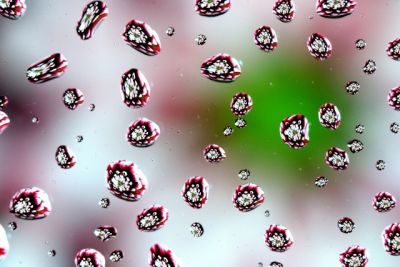 Water Drops_3