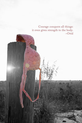 g4/58/694458/3/145290017.NWb9FkCL.jpg
