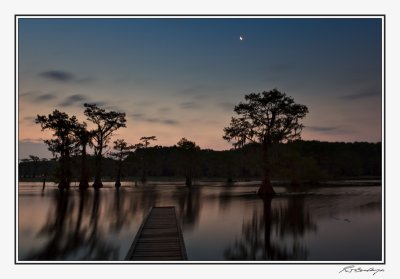 Moon Over Caddo Lake-2