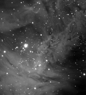 The Foxfur Nebula