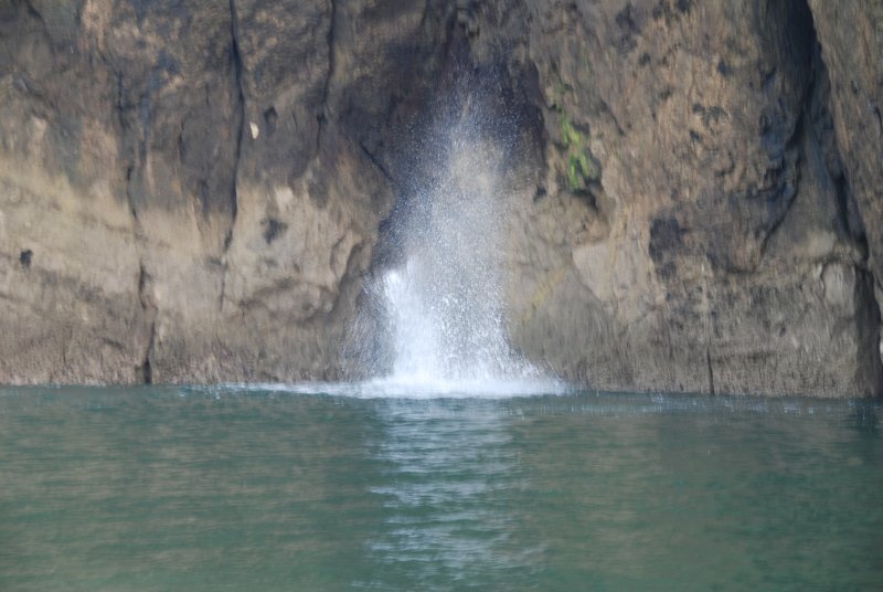 Blowhole