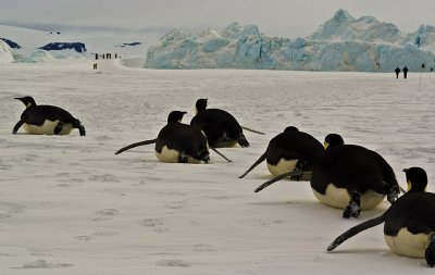 Antarctica 2007