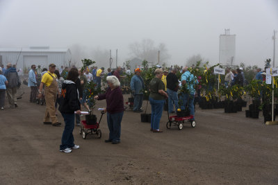 23_Fruit Sale_021911.jpg