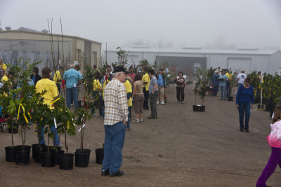 26_Fruit Sale_021911.jpg
