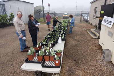 29_Fruit Sale_021911.jpg