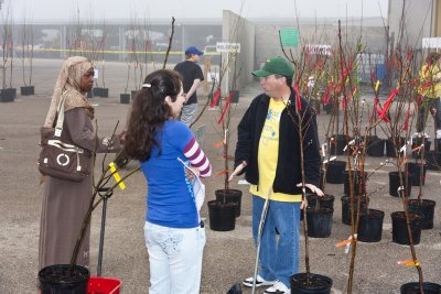 33_Fruit Sale_021911.jpg