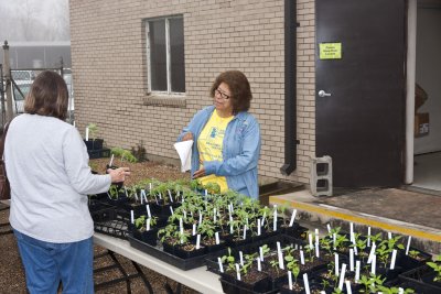 35_Fruit Sale_021911.jpg