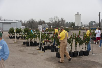 40_Fruit Sale_021911.jpg