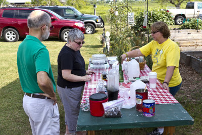 76_Ecofest_092411.jpg
