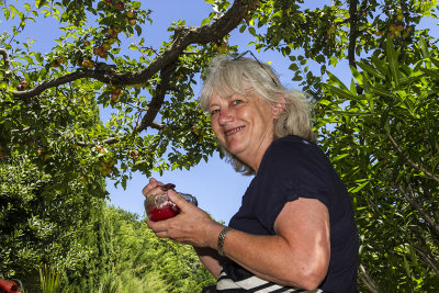 218-Avignon-06272012.jpg