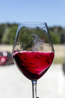 228-Avignon-06272012.jpg
