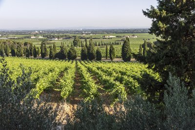 232-Avignon-06272012.jpg