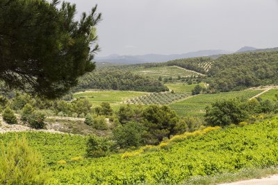 322-Avignon-06282012.jpg