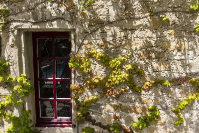 330-Avignon-06282012.jpg