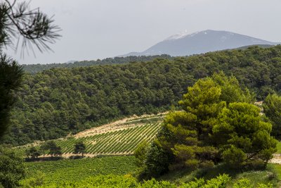 333-Avignon-06282012.jpg