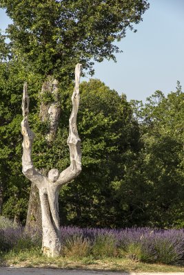 354-Avignon-06282012.jpg
