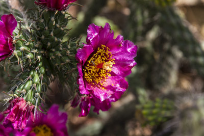 417-Avignon-06292012.jpg