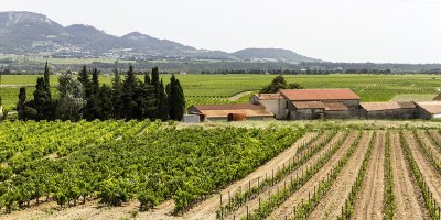 442-Avignon-06292012.jpg