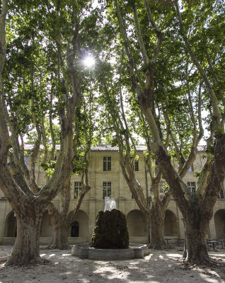 460-Avignon-06292012.jpg