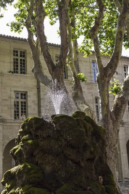 461-Avignon-06292012.jpg
