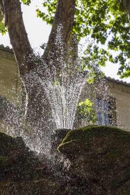 462-Avignon-06292012.jpg