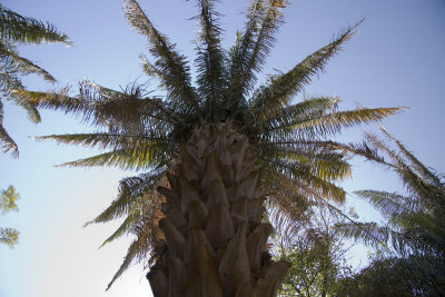 20071228_026_Aswan.jpg