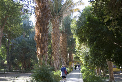 20071228_027_Aswan.jpg