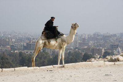 20080101-005-Cairo.jpg