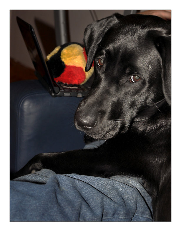 Play ball please!