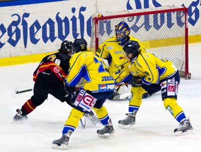 IMG_4734.jpg