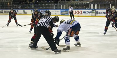 IMG_5236.jpg