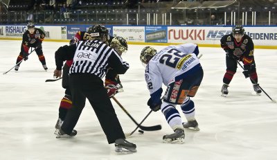 IMG_5237.jpg