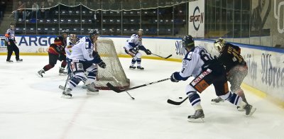 IMG_5256.jpg