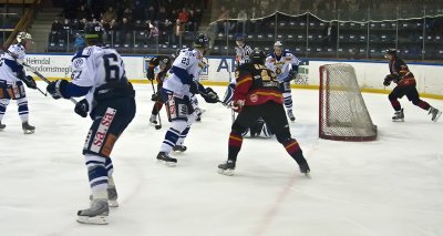 IMG_5259.jpg