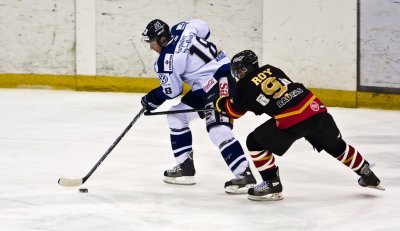 IMG_5346.jpg