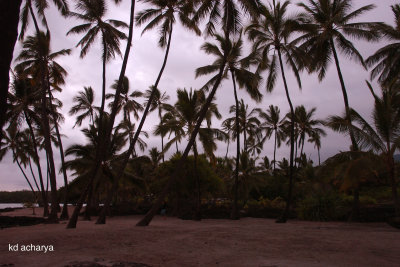 After sunset by the village on The Puuhonua o Honaunau National Historic Park, Big Island