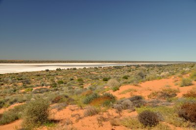 Sinpson Desert