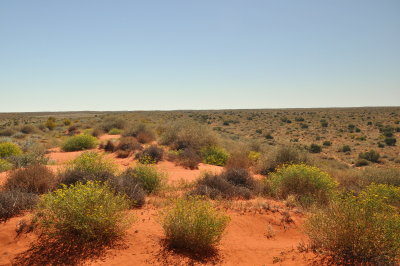 North Simpson Desert