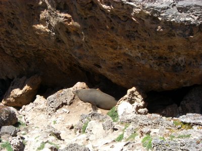 g4/58/815358/3/91286285.ijIKFWb5.jpg
